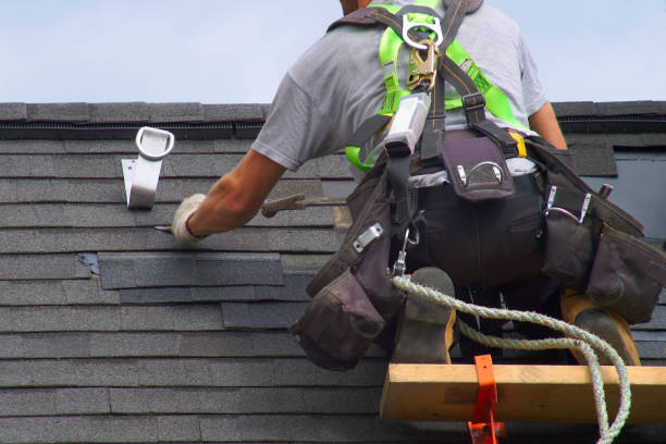 Best Residential Vinyl Siding Installation  in Cohoe, AK