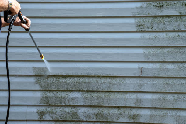 Best James Hardie Siding  in Cohoe, AK