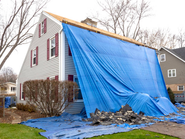 Professional Siding Installation & Repair in Cohoe, AK